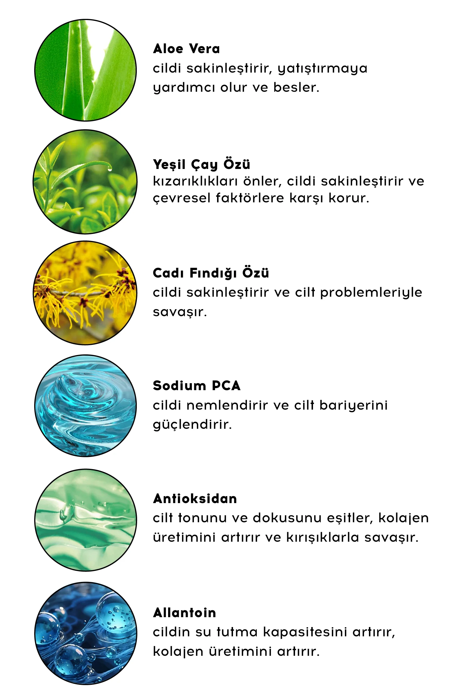 Cream Cleanser - Image 5